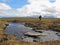 Hiking in Lapland