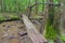 Hiking Log Footbridge In Great Smoky Mountains National Park
