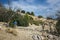 Hiking Lycian way. Man is standing on dry stony highland under dead tree on stretch between Kalkan and Kas of Lycian way