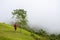 Hiking man on cloudy top of green mountain. Natural environment trekking activity. Summer sport outdoor