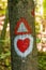 Hiking marking on a tree in the woods