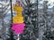 Hiking markings and orientation signs with signposts for navigating in the idyllic winter ambience above the tourist resort