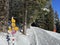 Hiking markings and orientation signs with signposts for navigating in the idyllic winter ambience of the Swiss Alps