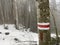 Hiking markings and orientation signs with signposts for navigating in the Wagital valley Waegital or WÃ¤gital and alpine Lake