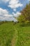 Hiking on mountain meadow in Velka Fatra mountains in Slovakia