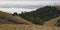 Hiking Mountain Tamalpais in the Marin County