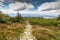 Hiking mountain trail through forested peaks, Beskid Mountains in Poland wide angle landscape