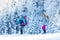 hiking in the mountains on snowshoes. two girls with backpacks go hiking in the snow. Travel and adventure concept