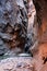 Hiking through the Narrows in Zion National Park