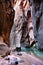 Hiking through the Narrows in Zion National Park