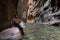 Hiking the Narrows in Zion NP