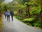 Hiking in National Parks, New Zealand