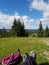 Hiking natural park, secular forest isolated mountains in Apuseni in Transylvania Romania