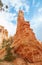 Hiking the Navajo Loop Trail in Bryce Canyon National Park