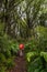 Hiking the Ngamoko track in Waikaremoana, New Zealand