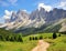 Hiking path in Alps