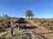 Hiking path at the Archemerberg