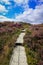 Hiking path around the Guinness Lake Lough Tay, Co. Wicklow, Ireland