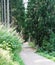 Hiking Path in the Black Forest, Germany