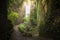 Hiking path between carved walls covered with moss in the stone quarry of Mount Nokogiri.