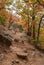 Hiking path covered with autumnal foliage through beech forest in mountains