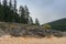 Hiking path in the forest near Black Lake Durmitor Nacional Park