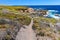 Hiking path in Garrapata State Park by Pacific