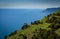 Hiking path through the grapevine fields in Cinque Terre.  Tuscany Italy