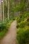 Hiking path leading along the Corrieshalloch Gorge