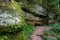 Hiking path on the Ledges Trail in Cuyahoga Valley National Park