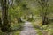 A hiking path near Glencoe in the Scottish highlands