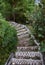 Hiking path outdoor staircase along the East Coast trai