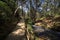 Hiking path through the popular Arvi park in Medellin