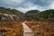 Hiking path Preikestolen Norway in autumn