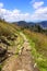 Hiking Path in the Smoky Mountains