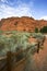 Hiking Path in Snow Canyon - Utah