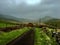 Hiking path to the Irish Hills valley in rainy weather