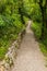 Hiking path in Tolmin Gorges (Tolminska Korita), Sloven