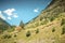 Hiking path with trees and vegetation in the Pyrenees mountains