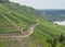 Hiking path trhough Wineyard German Region Moselle River Winningen