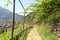 Hiking path and Vineyard panorama in Merano, South Tyrol