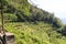Hiking path and Vineyard panorama in Merano, South Tyrol