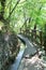 Hiking path Waalweg with irrigation channel near Merano in South Tyrol