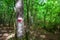 Hiking path in the woods near Pozze del Diavolo - Rieti, Italy