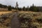 Hiking Path in Yellowstone