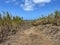 Hiking paths through fields of sugar cane, Grand River South East, Mauritius