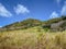 Hiking paths through fields of sugar cane, Grand River South East, Mauritius