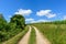 The hiking paths in the middle of the green vineyards in Europe, in France, in Burgundy, in Nievre, in Pouilly sur Loire, towards
