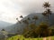 The hiking pathway in Cocora valley. Los Nevados National Natural Park. Quindio department. Colombia