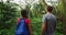 Hiking people on travel vacation walk in rainforest on Oahu Hawaii